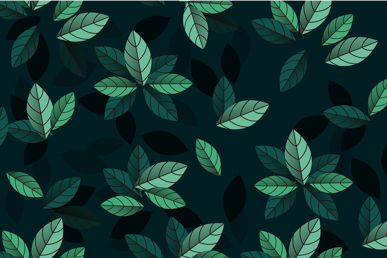 leaves, foliage, plants-5610361.jpg